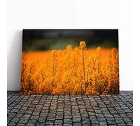 Flower Orange Oilsee Rape Blossom Canvas Print | Gallery Wrapped 30mm Frame Wall Art | 24x16 inches | Ready to Hang | Modern Floral Picture | Living Room Bedroom Lounge Office