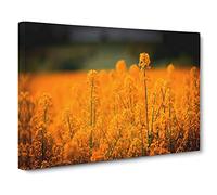 Flower Orange Oilsee Rape Blossom Canvas Print | Gallery Wrapped 30mm Frame Wall Art | 30x20 inches | Ready to Hang | Modern Floral Picture | Living Room Bedroom Lounge Office