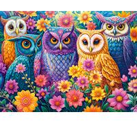 Flower Owl Meeting