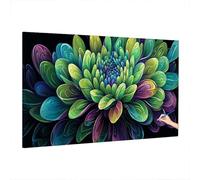 Flower Paint by Numbers for Adults Beginner, Adult Paint by Numbers Abstract, DIY Adult Crafts Canvas Oil Painting Kit, Painting by Number, Autumn Decor, Home Decor, Gifts for Women 160x70cm W-61