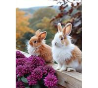 Flower Paint by Numbers for Adults Rabbit Paint by Numbers for Kids Beginners, Oil Paintings Craft Art Kits for Adults, Painting by Number with Acrylic Paint for Home Wall Decor 60x80cm, Model 833