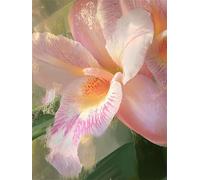 Flower Paint by Numbers for Adults,Simplicity Painting by Numbers Kits Children or Beginner,DIY Canvas Adult Crafts Oil Painting with Paint Brushes Acrylic Drawing Paintwork 20x30cm Frameless E1-1045