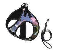 Flower Paris Eiffel Towers Print Pet Leash Vest,Breathable Mesh Pet Harness, Reflective For Small Medium Dogs Safe Easy Walking
