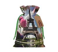 Flower Paris Eiffel Towers Print Reusable Gift Bags,Drawstring Gift Bags For Jewelry And Gifts,For Festive Occasions