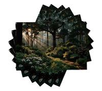 Flower Path Placemats,Dining Table Mats For Party Kitchen Table Decoration Indoor Outdoor, Washable Forest Garden Place Mats Set Of 6,45X30Cm