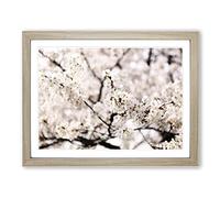 Flower Pink Cherry Blossom Sakura Tree Modern Framed Wall Art Print, Ready to Hang Picture for Living Room Bedroom Home Office Décor, Oak A4 (34 x 25 cm)