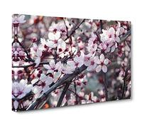 Flower Pink Cherry Blossom Tree 2 Modern Canvas Wall Art Print Ready to Hang, Framed Picture for Living Room Bedroom Home Office Décor, 20x14 Inch (50x35 cm)