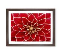 Flower Pink Dahlia No.1 Modern Framed Print | A4 Walnut Framed Wall Art | Ready to Hang | Modern Floral Picture | Living Room Bedroom Lounge Office