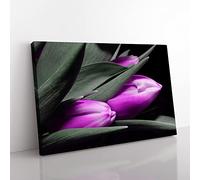 Flower Pink Purple Tulip No.3 Modern Canvas Wall Art Print Ready to Hang, Framed Picture for Living Room Bedroom Home Office Décor, 60x40 cm (24x16 Inch)