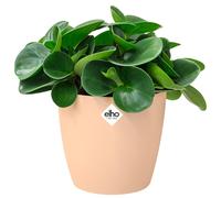 Flower Pot Brussels Beige 16x15cm 2,2L