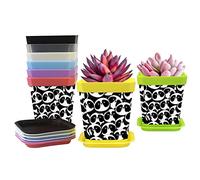 Flower Pots Panda Plant Pots With Drainage Hole And Tray Decorative Small Pots For All House Succulents Cactus 8 Pack