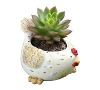 Flower Pots Plants - Hen Flower-pots | Resin Vegetables With Drainage Hole | 886 G Multi Functional Plant Container | Planter Showpiece Porch Balcony Bedroom Indoor Living Room Garden Desk
