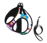 Flower Power No Pull Dog Harness and Leash Set, Cute Reflective Adjustable Vest for Small Dogs,Breathable Mesh Puppy Harness for Walking Hiking,Medium