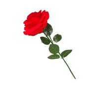 Flower Proposal Ring Holder - Velvet Wedding Display Box, Romantic Engagement Presentation Stand, Decorative Organizer for Memories with the