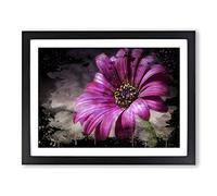 Flower Purple Daisy No.1 Modern CB Framed Print | A2 Black Framed Wall Art | Ready to Hang | Modern Floral Picture | Living Room Bedroom Lounge Office