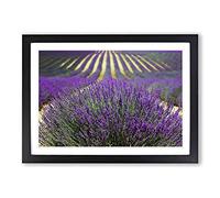 Flower Purple Lavender Field Landscape Framed Print | A2 Oak Framed Wall Art | Ready to Hang | Modern Floral Picture | Living Room Bedroom Lounge Office