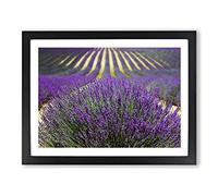 Flower Purple Lavender Field Landscape Modern Framed Print | A4 Black Framed Wall Art | Ready to Hang | Modern Floral Picture | Living Room Bedroom Lounge Office