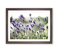 Flower Purple Lavender No.1 Modern Framed Print | A3 Walnut Framed Wall Art | Ready to Hang | Modern Floral Picture | Living Room Bedroom Lounge Office