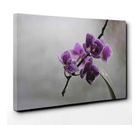 Flower Purple Orchid (5) Canvas Print | Gallery Wrapped 30mm Frame Wall Art | 30x20 inches | Ready to Hang | Modern Floral Picture | Living Room Bedroom Lounge Office
