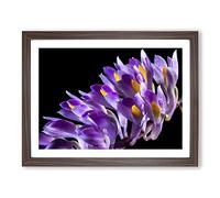 Flower Purple Orchid No.3 Modern Framed Print | A4 Walnut Framed Wall Art | Ready to Hang | Modern Floral Picture | Living Room Bedroom Lounge Office