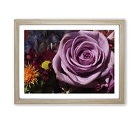 Flower Purple Rose No.1 Modern Framed Wall Art Print, Ready to Hang Picture for Living Room Bedroom Home Office Décor, Oak A2 (64 x 46 cm)
