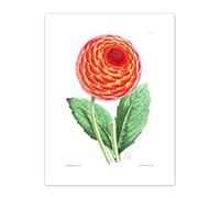 Flower Red Orange Dahlia Art Print Canvas Premium Wall Decor Poster
