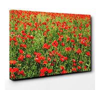 Flower Red Poppy Fields (3) Canvas Print | Gallery Wrapped 30mm Frame Wall Art | 30x20 inches | Ready to Hang | Modern Floral Picture | Living Room Bedroom Lounge Office