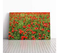 Flower Red Poppy Fields (3) Canvas Print | Gallery Wrapped 30mm Frame Wall Art | 30x20 inches | Ready to Hang | Modern Floral Picture | Living Room Bedroom Lounge Office