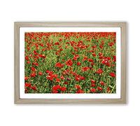 Flower Red Poppy Fields (3) Framed Print | A2 Oak Framed Wall Art | Ready to Hang | Modern Floral Picture | Living Room Bedroom Lounge Office