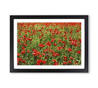 Flower Red Poppy Fields (3) Framed Print | A2 Oak Framed Wall Art | Ready to Hang | Modern Floral Picture | Living Room Bedroom Lounge Office