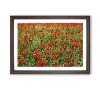 Flower Red Poppy Fields (3) Framed Print | A2 Walnut Framed Wall Art | Ready to Hang | Modern Floral Picture | Living Room Bedroom Lounge Office