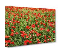 Flower Red Poppy Fields No.3 Canvas Print | Gallery Wrapped 30mm Frame Wall Art | 24x16 inches | Ready to Hang | Modern Floral Picture | Living Room Bedroom Lounge Office