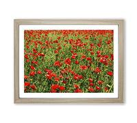 Flower Red Poppy Fields No.3 Modern Framed Print | A2 Oak Framed Wall Art | Ready to Hang | Modern Floral Picture | Living Room Bedroom Lounge Office