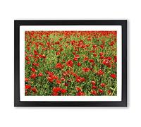 Flower Red Poppy Fields No.3 Modern Framed Print | A3 Black Framed Wall Art | Ready to Hang | Modern Floral Picture | Living Room Bedroom Lounge Office