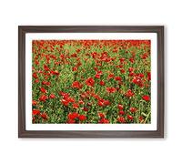 Flower Red Poppy Fields No.3 Modern Framed Print | A4 Walnut Framed Wall Art | Ready to Hang | Modern Floral Picture | Living Room Bedroom Lounge Office