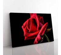 Flower Red Rose No.2 Modern Canvas Wall Art Print Ready to Hang, Framed Picture for Living Room Bedroom Home Office Décor, 50x35 cm (20x14 Inch)