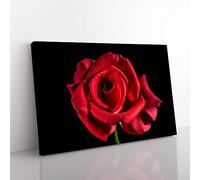 Flower Red Rose No.6 Modern Canvas Wall Art Print Ready to Hang, Framed Picture for Living Room Bedroom Home Office Décor, 50x35 cm (20x14 Inch)
