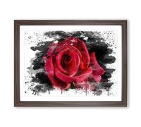 Flower Red Rose No.6 V3 Modern Framed Wall Art Print, Ready to Hang Picture for Living Room Bedroom Home Office Décor, Walnut A3 (46 x 34 cm)