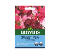 Flower Seeds Sweet Pea 'Berry Kiss' Pink Red Flowers