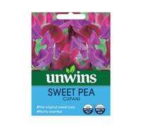 Flower Seeds Sweet Pea Cupani Purple Violet Flowers