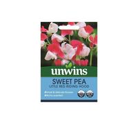 Flower Seeds Sweet Pea Little Red Riding Hood Pastel Vibrant Colours