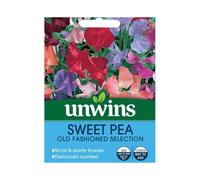 Flower Seeds Sweet Pea Old Fashioned Easy Grow Scented Flowers