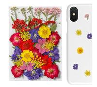 Flower Stickers - 35 Pieces Scrapbook Stickers | Dry Botanical Plants Stickers for Journaling | Plant Stickers for Journals, Stickers for Scrapbooking and Supplies