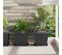 Flower Tray Black Plastic 25.5x25.5x2.5cm Square Set of 24 Durable Rolled Rim UK
