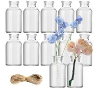 Flower Vase, 12PCS Small Glass Vase Set Bud Vases, Small Vase for Decorative Table Wedding Party Home, Mini Vintage Vase for Flowers