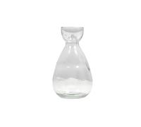 Flower Vase Creative Vase Glass Hydroponic Seed Avocado Home Desktop Decoration Ornament Gardening Lovers(Circle)