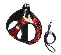 Flower Vortex Spiral print Dog Harness and Leash Set, Reflective Adjustable Puppy Vest for Small Medium Large Dogs, Cats