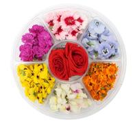 Flower Wheel 100gr | 7 Types of Edible Flowers - Premium Mixed Edible Blossoms for Garnishing, Baking & Fine Dining | Vibrant Colours | Ideal for Desserts, Cocktails, Salads & Decoration