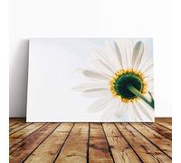 Flower White Daisy Facing The Light Canvas Print | Gallery Wrapped 30mm Frame Wall Art | 30x20 inches | Ready to Hang | Modern Floral Picture | Living Room Bedroom Lounge Office