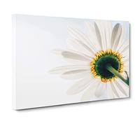 Flower White Daisy Facing the Light Canvas Print | Gallery Wrapped 30mm Frame Wall Art | 30x20 inches | Ready to Hang | Modern Floral Picture | Living Room Bedroom Lounge Office